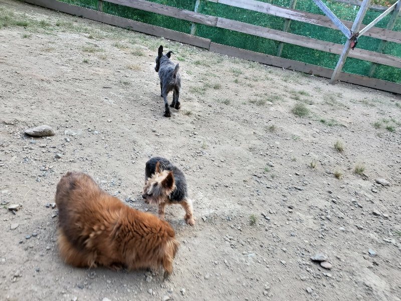 f:id:roukenhome-ann:20190917080155j:plain
