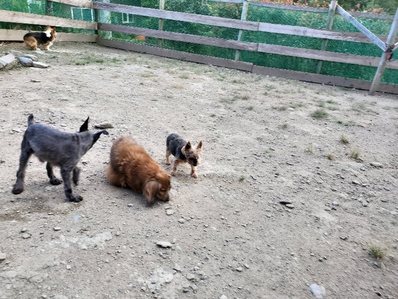 f:id:roukenhome-ann:20190917080204j:plain