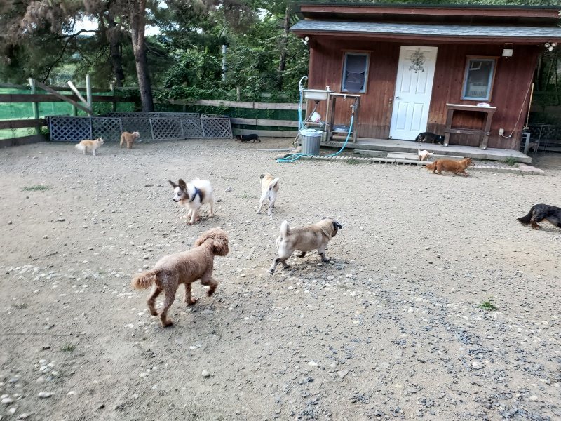 f:id:roukenhome-ann:20190917080212j:plain