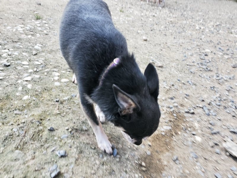 f:id:roukenhome-ann:20190917080218j:plain