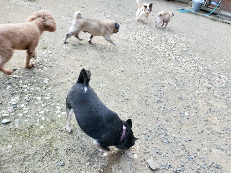 f:id:roukenhome-ann:20190917080224j:plain