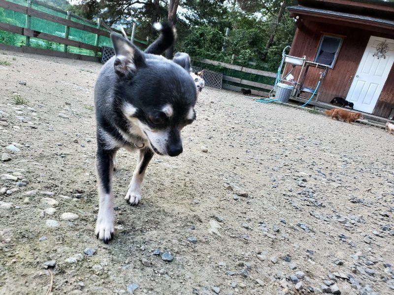 f:id:roukenhome-ann:20190917080231j:plain
