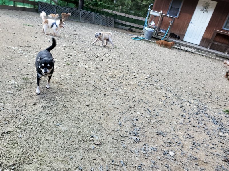 f:id:roukenhome-ann:20190917080239j:plain
