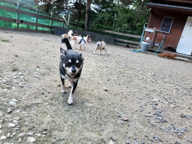 f:id:roukenhome-ann:20190917080246j:plain