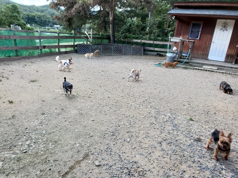 f:id:roukenhome-ann:20190917080256j:plain
