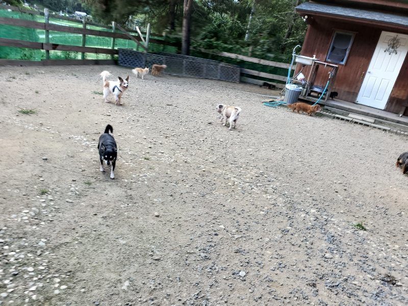 f:id:roukenhome-ann:20190917080302j:plain