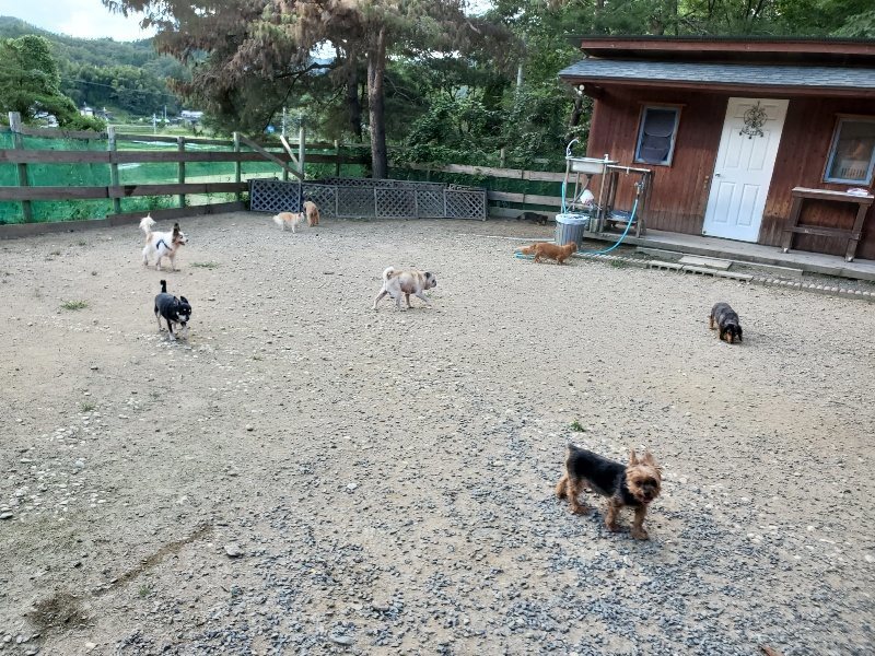 f:id:roukenhome-ann:20190917080309j:plain