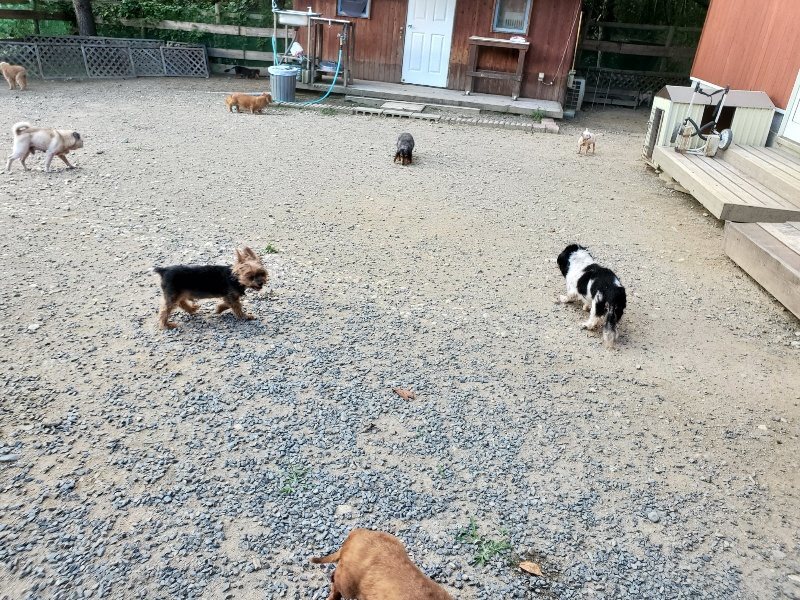 f:id:roukenhome-ann:20190917080317j:plain
