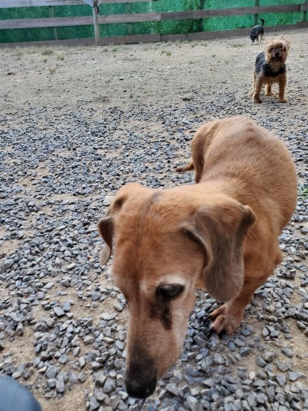 f:id:roukenhome-ann:20190917080347j:plain