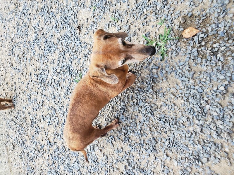 f:id:roukenhome-ann:20190917080353j:plain