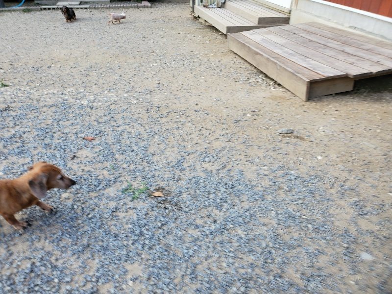 f:id:roukenhome-ann:20190917080409j:plain
