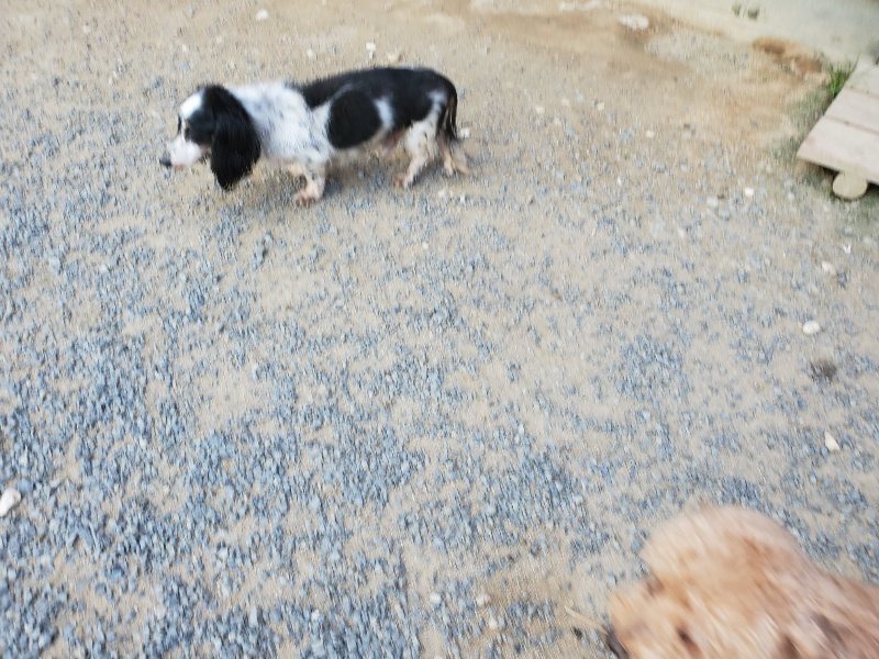 f:id:roukenhome-ann:20190917080417j:plain