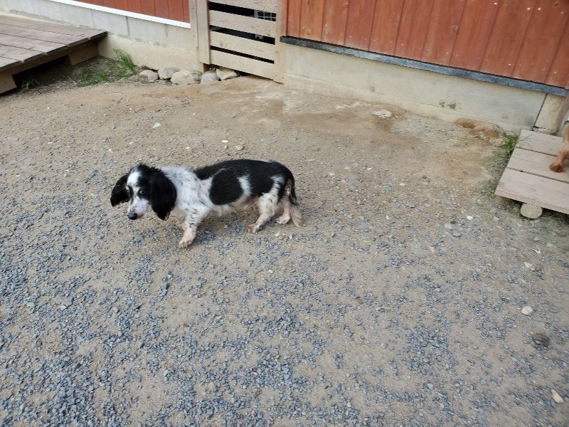 f:id:roukenhome-ann:20190917080429j:plain