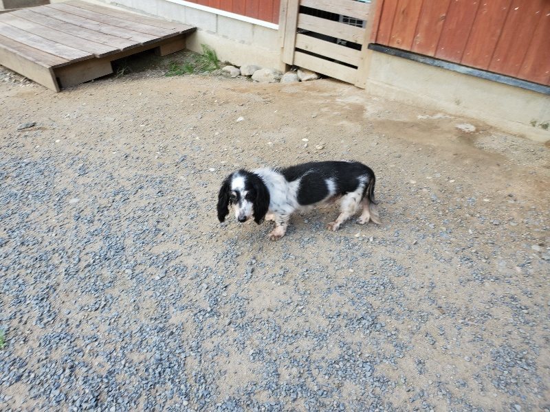 f:id:roukenhome-ann:20190917080436j:plain