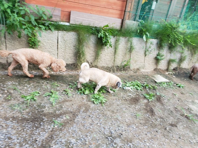 f:id:roukenhome-ann:20190917081805j:plain