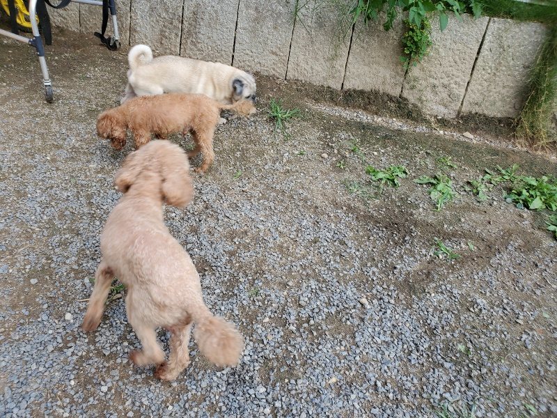 f:id:roukenhome-ann:20190917081811j:plain