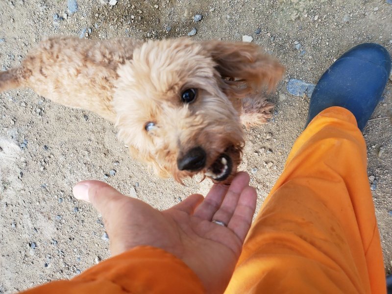 f:id:roukenhome-ann:20190917081825j:plain