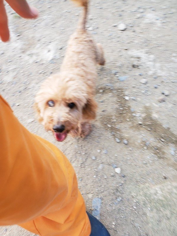f:id:roukenhome-ann:20190917081829j:plain