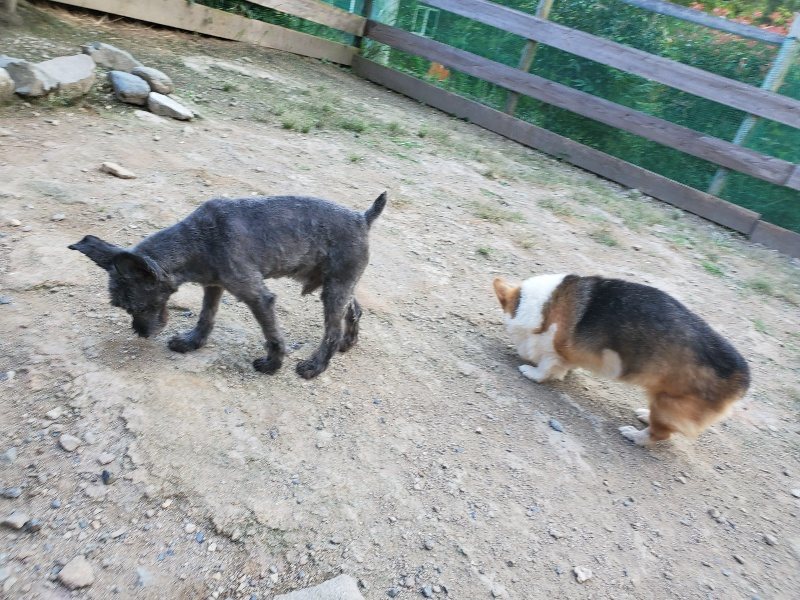 f:id:roukenhome-ann:20190917081842j:plain
