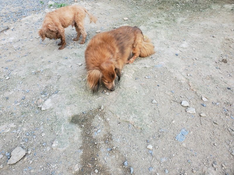 f:id:roukenhome-ann:20190917081853j:plain