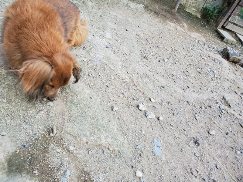 f:id:roukenhome-ann:20190917081858j:plain