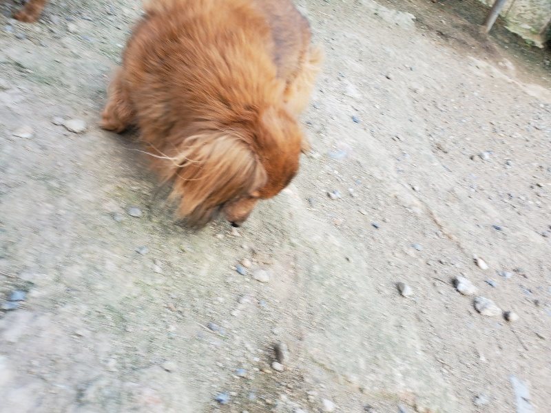 f:id:roukenhome-ann:20190917081902j:plain