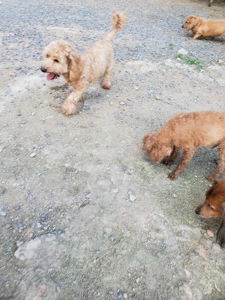 f:id:roukenhome-ann:20190917081907j:plain