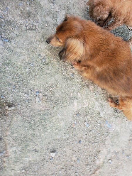 f:id:roukenhome-ann:20190917081911j:plain
