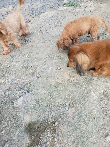 f:id:roukenhome-ann:20190917081916j:plain