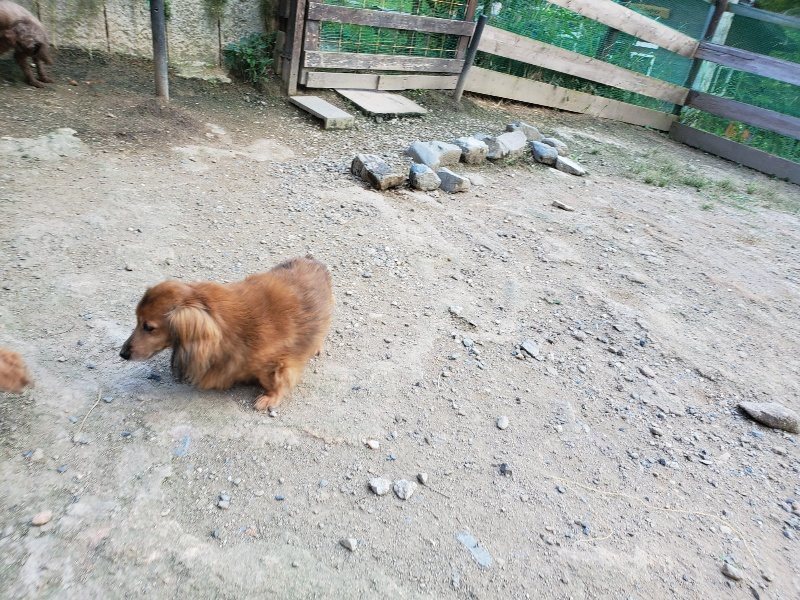 f:id:roukenhome-ann:20190917081928j:plain