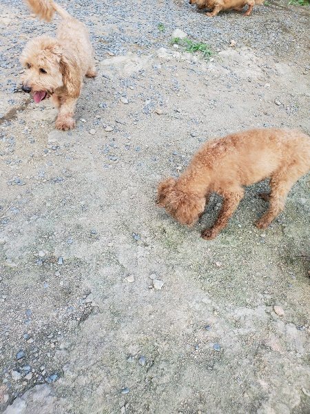 f:id:roukenhome-ann:20190917081936j:plain