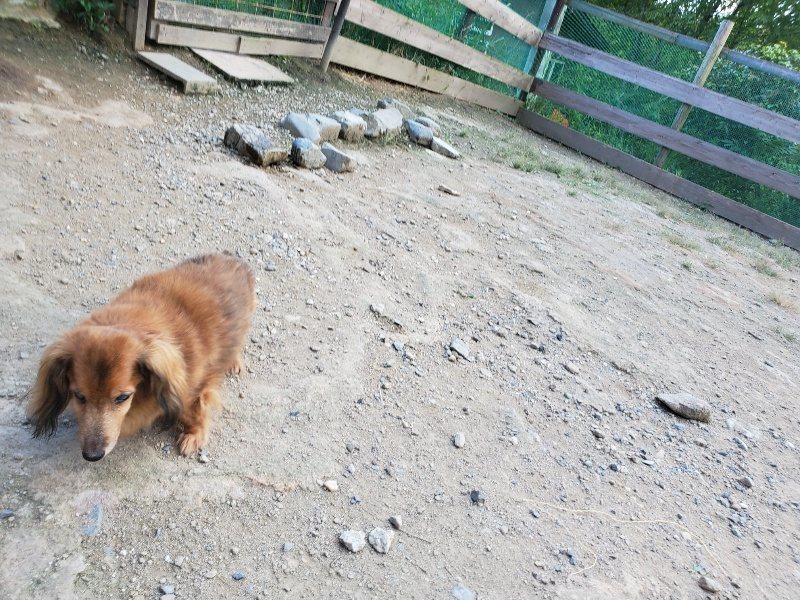 f:id:roukenhome-ann:20190917081940j:plain