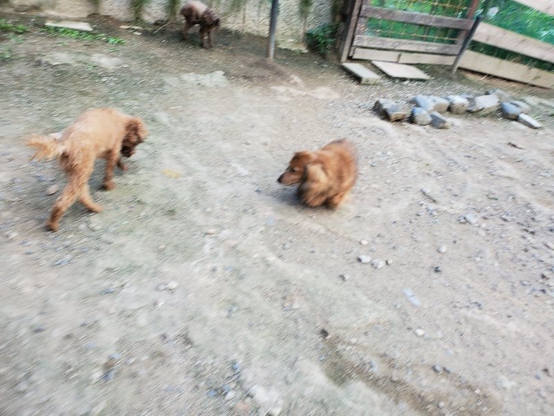 f:id:roukenhome-ann:20190917081946j:plain