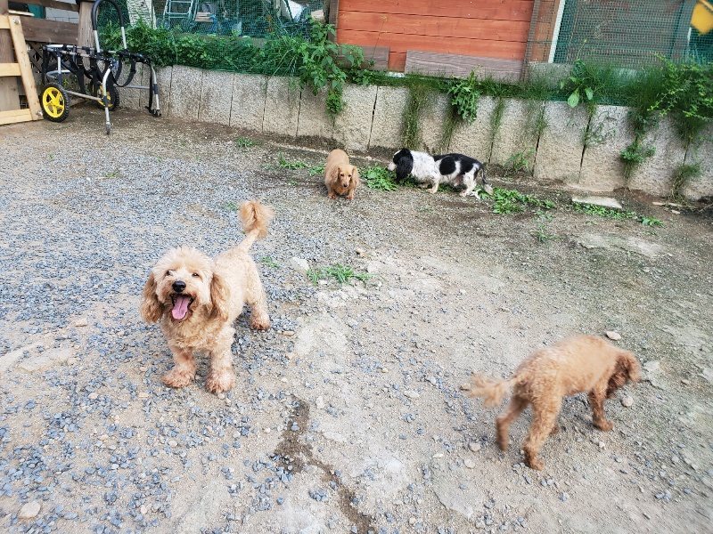 f:id:roukenhome-ann:20190917081951j:plain