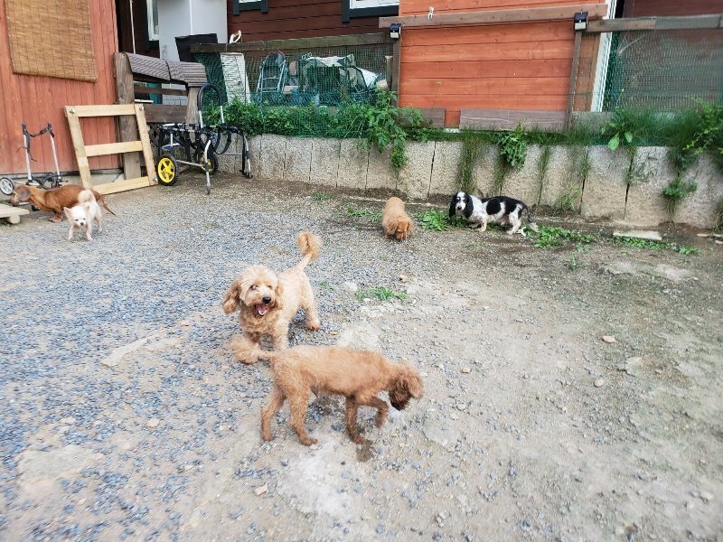 f:id:roukenhome-ann:20190917081957j:plain