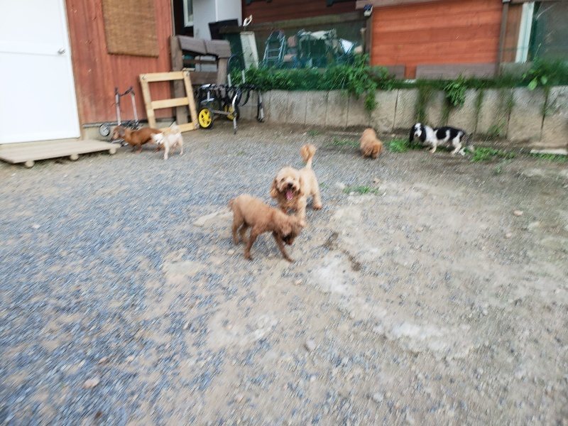 f:id:roukenhome-ann:20190917082002j:plain