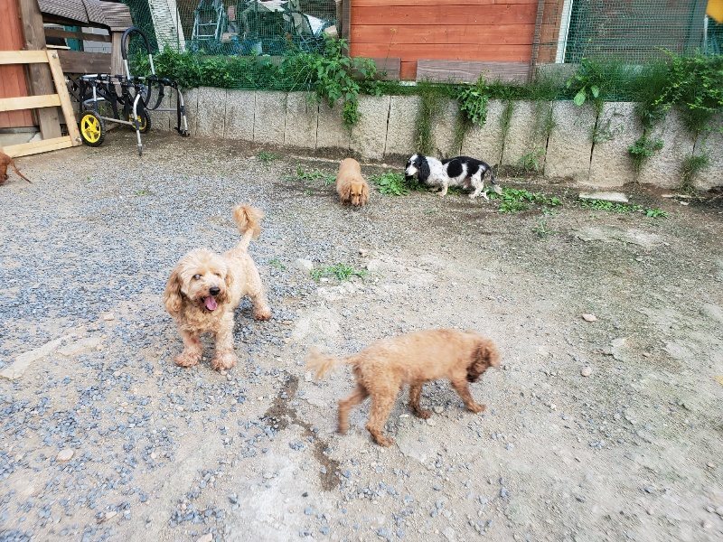 f:id:roukenhome-ann:20190917082010j:plain