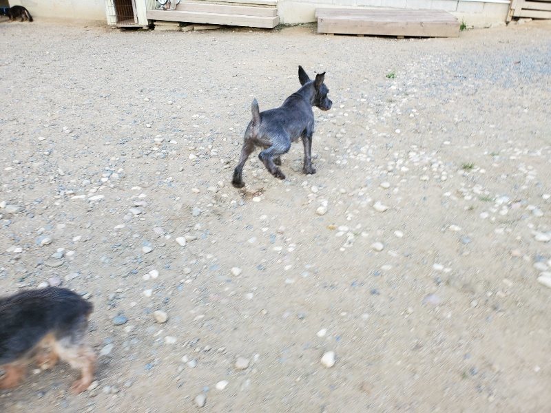 f:id:roukenhome-ann:20190917082030j:plain