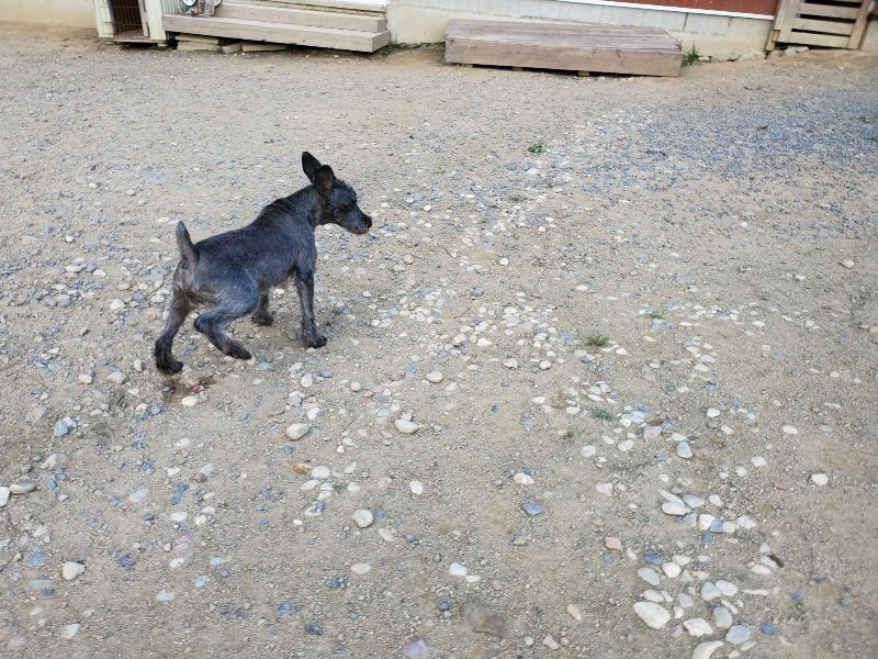 f:id:roukenhome-ann:20190917082037j:plain