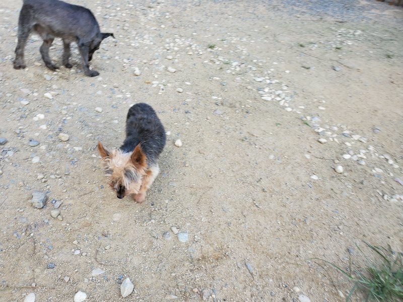 f:id:roukenhome-ann:20190917082055j:plain