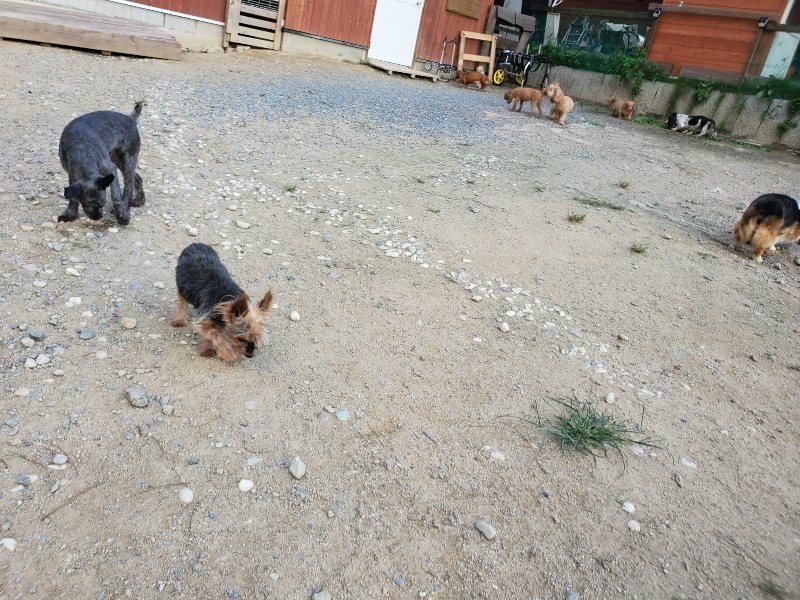 f:id:roukenhome-ann:20190917082102j:plain
