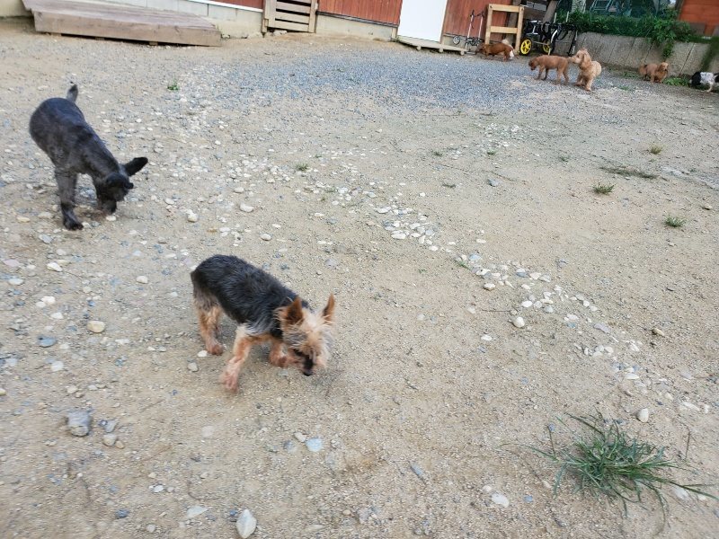 f:id:roukenhome-ann:20190917082106j:plain