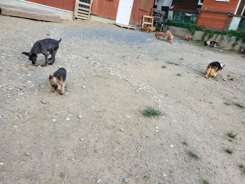 f:id:roukenhome-ann:20190917082112j:plain