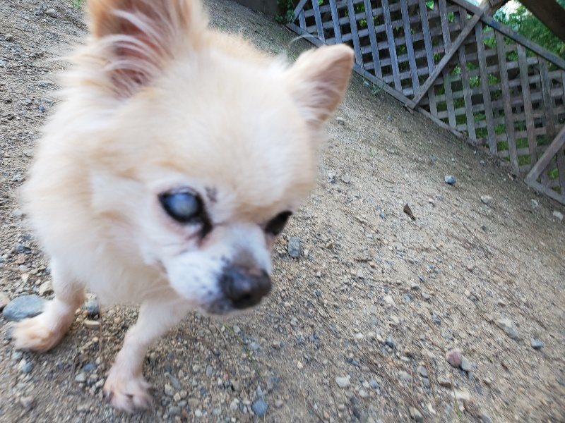 f:id:roukenhome-ann:20190917083126j:plain