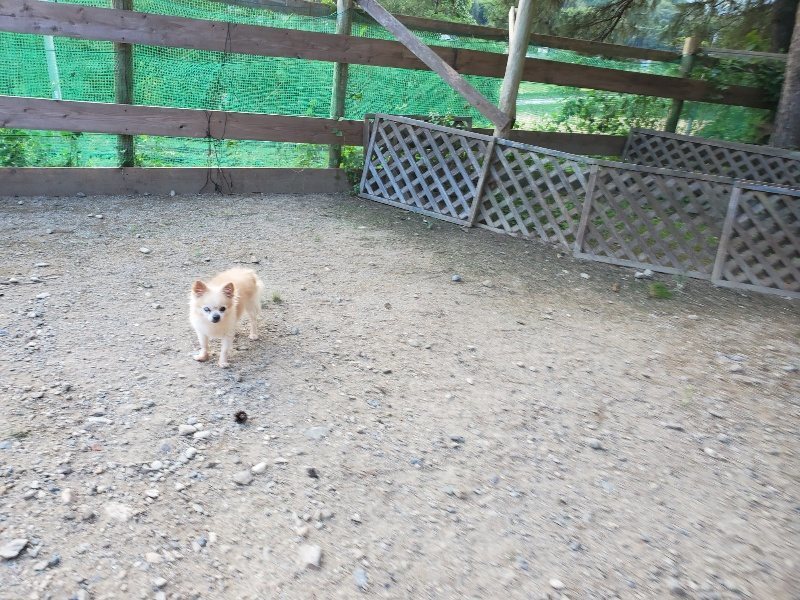 f:id:roukenhome-ann:20190917083132j:plain