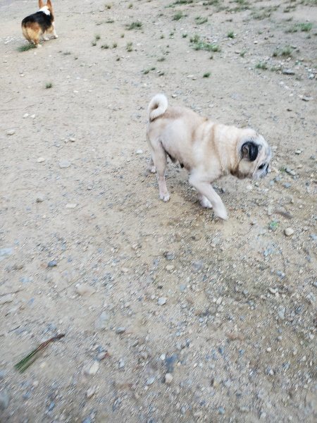 f:id:roukenhome-ann:20190917083146j:plain
