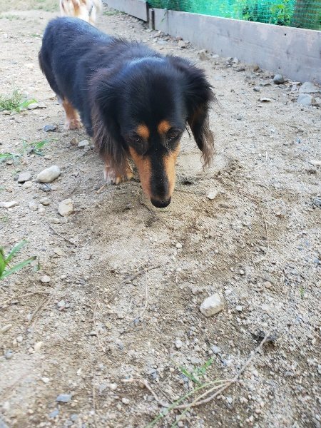 f:id:roukenhome-ann:20190917083150j:plain