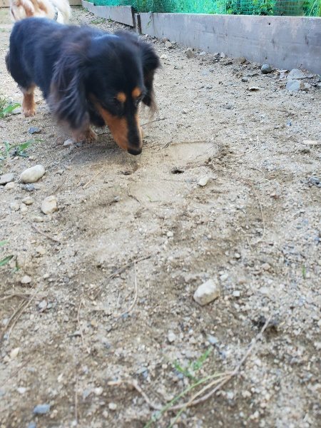 f:id:roukenhome-ann:20190917083155j:plain