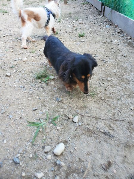 f:id:roukenhome-ann:20190917083200j:plain