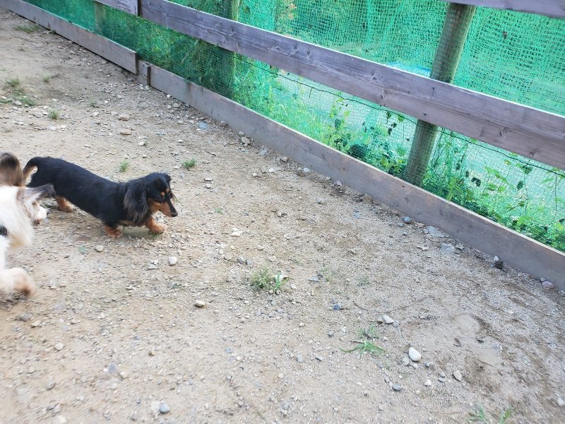 f:id:roukenhome-ann:20190917083221j:plain
